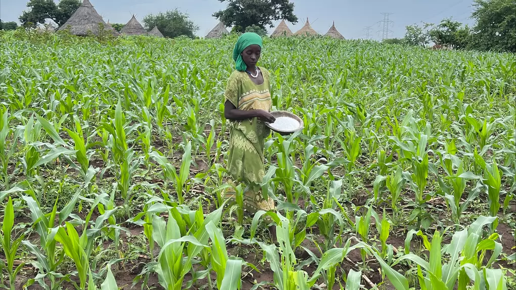 Kabede Geleta farming image